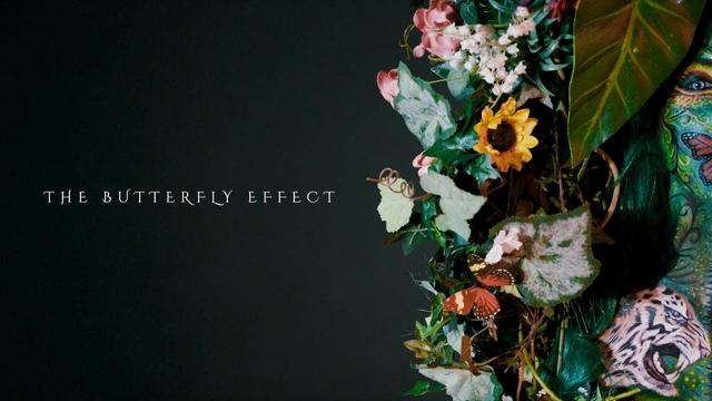 THE BUTTERFLY EFFECT || #RESPECTNATURE