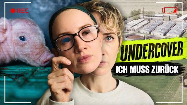UNTER SCHWEINEN: Der UNDERCOVER-EINSATZ, den ich NIE WIEDER wollte