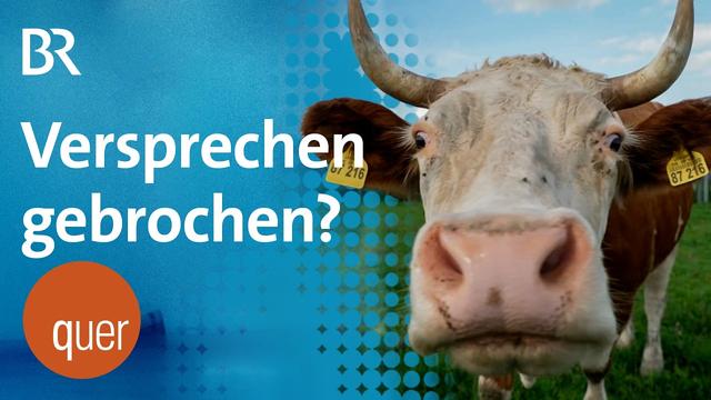 Agri-PV ausgebremst: Warum versprochene Förderung ausbleibt | quer vom BR