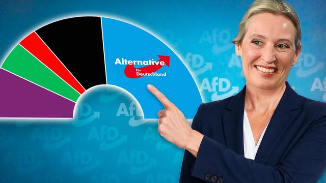 Was kann die AfD mit ABSOLUTER MEHRHEIT machen? (2026)