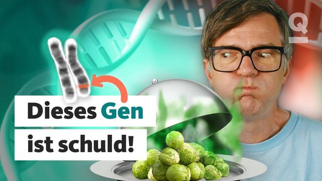 Warum ich Rosenkohl hasse | Quarks Dimension Ralph
