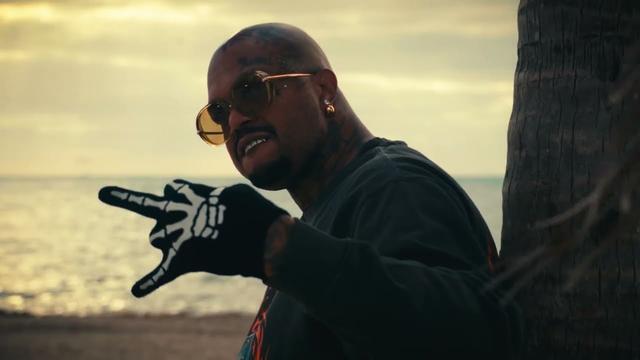 DJ Paul x Snow Tha Product - Stupid A.B. [Visualizer]