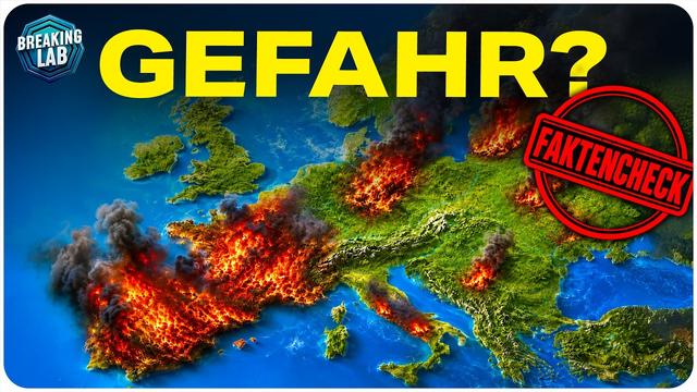 DAS sagt die Wissenschaft zu den Waldbränden