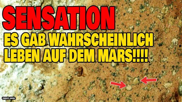 Sensation!!! - Es gab wahrscheinlich Leben auf dem Mars