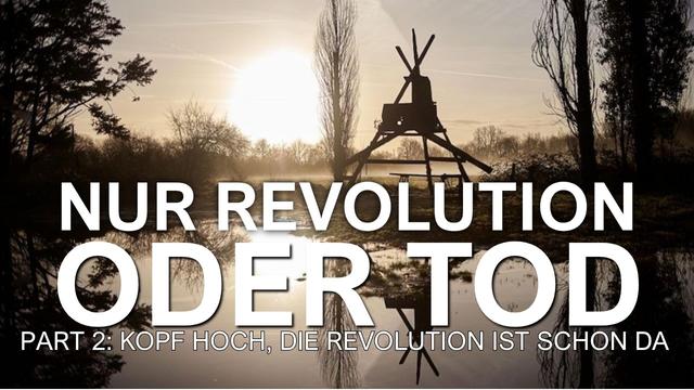 Nur Revolution oder Tod - Part 2: Kopf hoch die Revolution ist schon da.