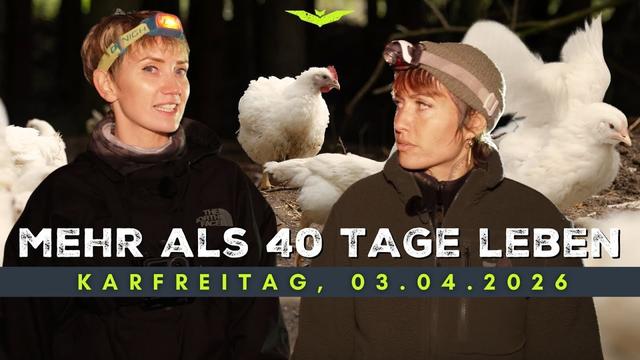 Mehr als 40 Tage: 631 Küken gerettet TRAILER