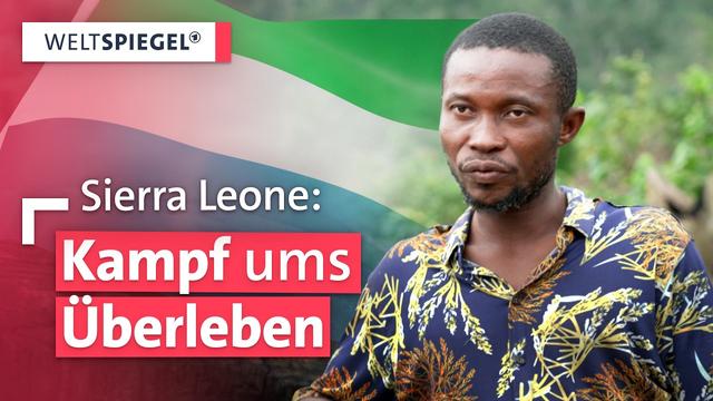 Hitze, Hunger, Hoffnung:  Sierra Leones Kampf gegen Klimawandel und Entwaldung  | Weltspiegel