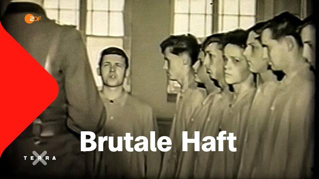 Die brutalen Jugend-Gefängnisse der DDR | Terra X