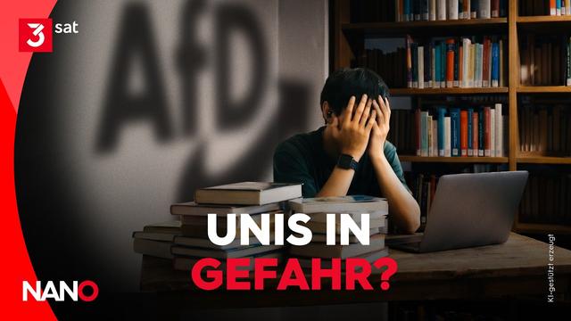 Was die AfD wirklich plant | NANO