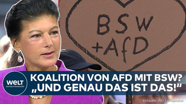 Sahra Wagenknecht im Interview: Was passiert jetzt mit der AfD?