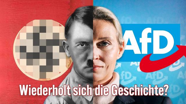NSDAP-Machtergreifung = AfD-Machtergreifung ?