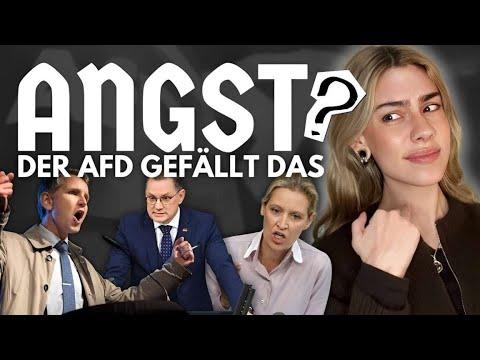 ANGST als Geschäftsmodell: Der KULTURKAMPF der AfD | VIDEO ESSAY