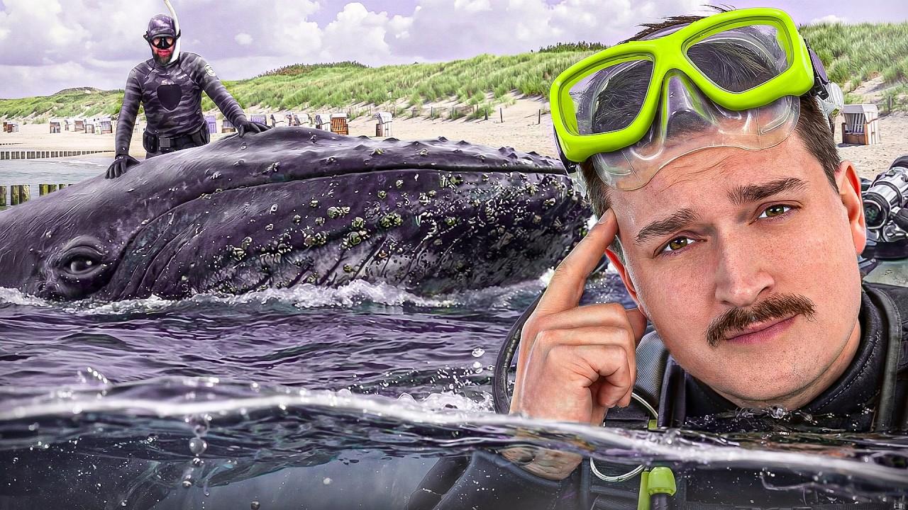 Buckelwal "HOPE" ist die größte Psychose 2026