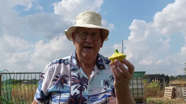 My Allotment: Summer Update 🌱☀️