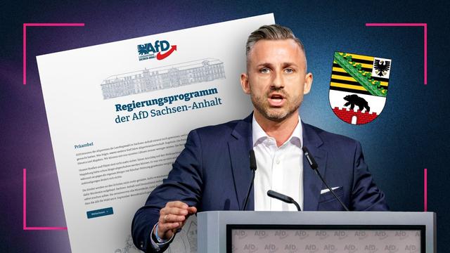 Das könnte passieren, wenn die AfD in Sachsen-Anhalt regiert