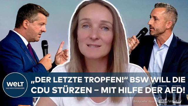 SACHSEN-ANHALT: Umfrage-Schock! Königsmacher für die AfD? So will das BSW die CDU demontieren!