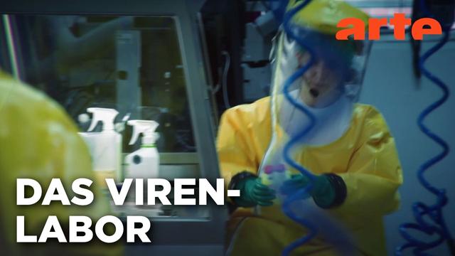 Die Seucheninsel: Die tödlichsten aller Viren | Doku HD Reupload | ARTE