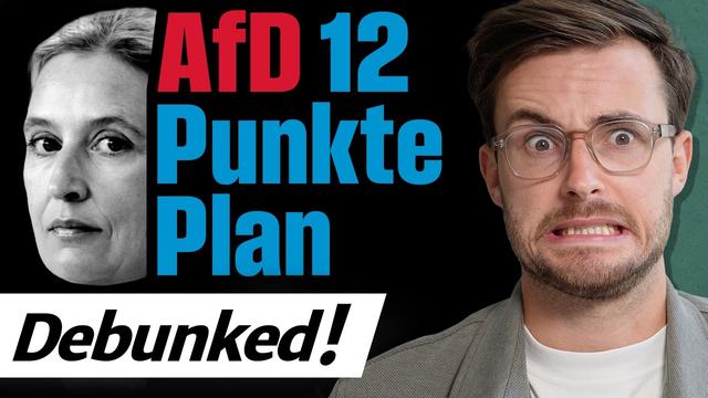 AfD-Deutschlandplan DEBUNKED! ❌