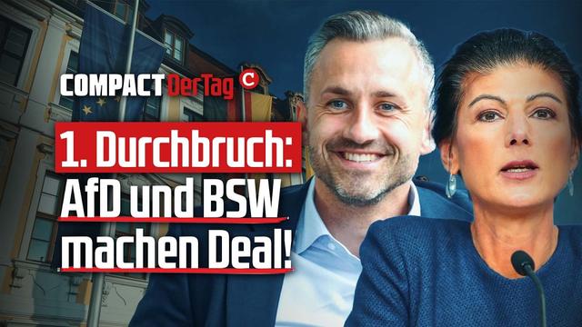 1. Durchbruch: AfD und BSW machen Deal!💥