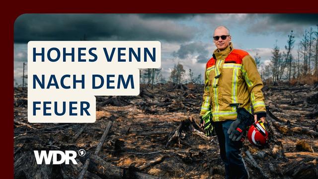 Bilanz nach dem Sommer: Überlebt das Hohe Venn die Brandkatastrophe | WDR