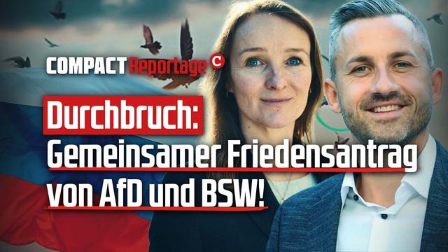 Durchbruch: Gemeinsamer Friedensantrag von AfD und BSW!