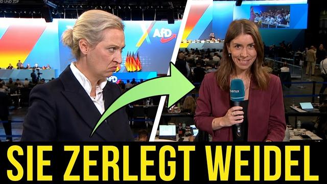 Wo lügt die AfD? Faktencheck mit Alice Weidel!