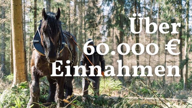 So funktioniert ökologischer Waldumbau!