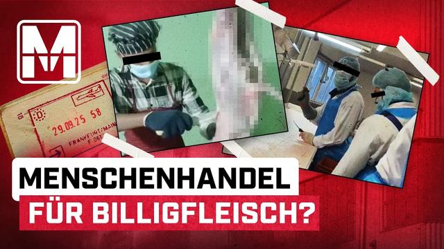 Wer wirklich für unser billiges Fleisch bezahlen muss - MONITOR