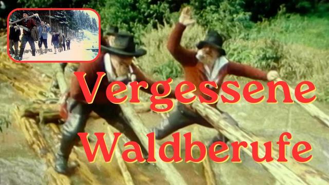 Schwarzwald 1977 - vergessene Waldberufe, die es heute so nicht mehr gibt