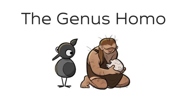The Other Species of Human