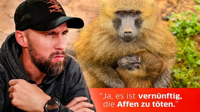 HÖRT AUF ZU LÜGEN! Paviane sollen trotz Alternativen sterben | Robert Marc Lehmann reagiert