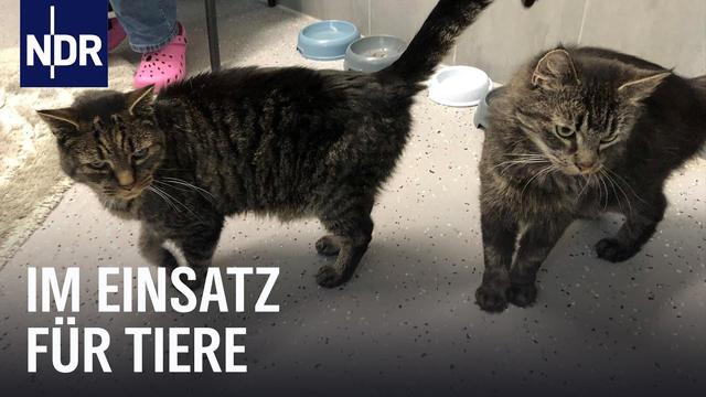 Unterwegs mit der Tierrettung Hamburg | Die Nordreportage | NDR Doku