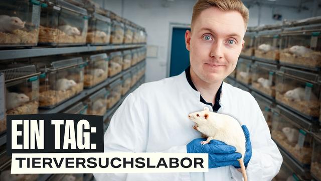 1 Tag im Tierversuchslabor: So ist es wirklich!