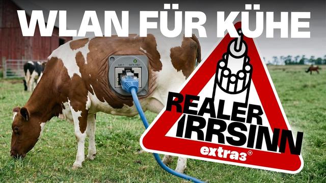Realer Irrsinn: Dieser Kuhstall in Grabenitz hat Glasfaser | extra 3