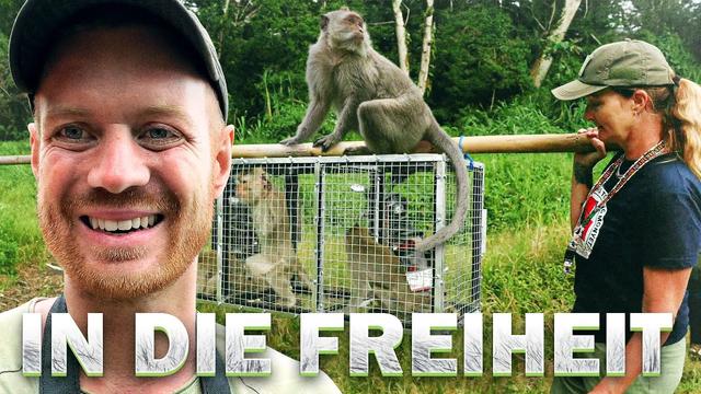 Das FINALE von Mission Bali 2.0 - Von Ketten und Schmerz zurück in die Natur | Robert Marc Lehmann