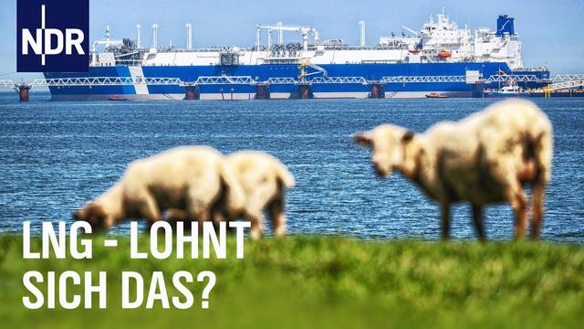 Lohnen sich die LNG Terminals? | NDR Story | NDR Doku