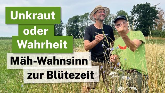 Tödlicher Ordnungswahn: Warum falsches Mähen Insekten & Natur zerstört! 🚜❌