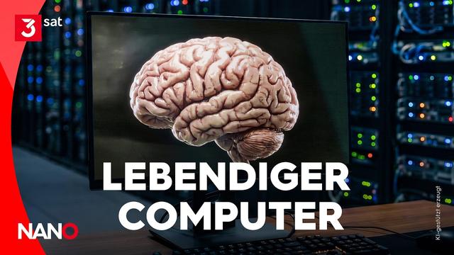 Die KI-Zukunft: Computer aus echten Gehirnzellen | NANO