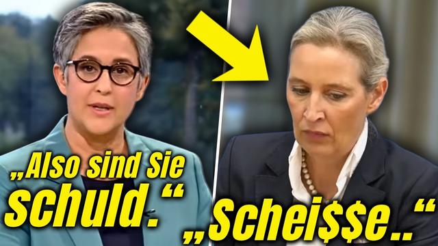 Der AfD LEAK Den ALLE VERGESSEN Haben! Jetzt Ist Es Glasklar!