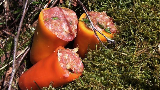 GEFÜLLTE PAPRIKA MIT HACKFLEISCH, REIS & TOMATENSOßE - Outdoor Camping Rezept
