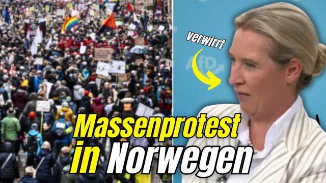 AfD Politikerin Blamiert Sich In NORWEGEN! Polizei Muss EINGREIFEN Als Massenproteste Ausbrechen!