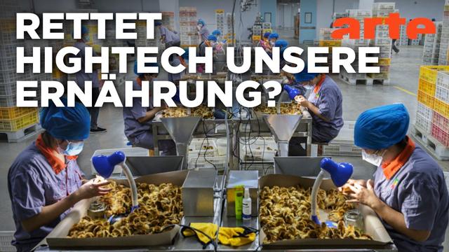 Licht und Schatten von Hightech - Dimensionen der Agrarindustrie (1/2) | Doku HD | ARTE