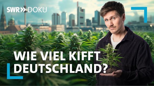 Die Realität nach einem Jahr Cannabis-Gesetz: Wie viel kiffen wir wirklich? | SWR Doku