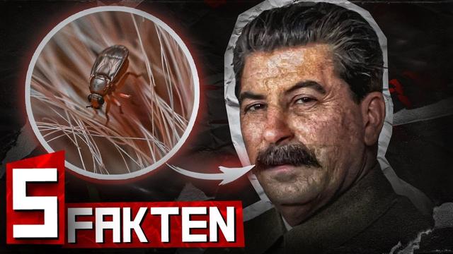 TOP 5 HARTE FAKTEN über den KOMMUNISMUS [ Teil 1]