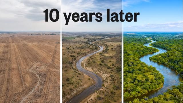 The Genius Solution to Rewild This River